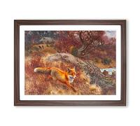 Fox And Hunting Dogs Vol.3 By Bruno Liljefors Classic Painting Framed Print | A2 Walnut Framed Wall Art | Ready to Hang | Classic Animal Picture | Living Room Bedroom Lounge Office