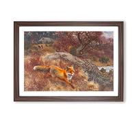 Fox and Hunting Dogs Vol.3 by Bruno Liljefors Framed Print | A2 Walnut Framed Wall Art | Ready to Hang | Modern Animal Picture | Living Room Bedroom Lounge Office