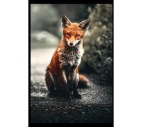 Fox - Animal of The World: Notebooks with Animals for Kids, Notebook for Drawing and Writing (Colorful & Cartoon Cover, 100 Pages, Blank, 6x9), (Animals of the Word)
