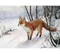 Fox Christmas Card with Envelope. The Edge of the Forest by Dick Twinney