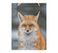 Fox Crystal Sticker, 3D Stereoscopic Effect, Pattern Does Not Fall Off When Exposed to Water