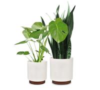 Fox & Fern Enspijk flower pots