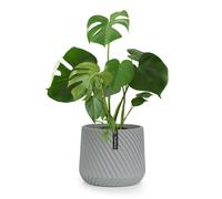 Fox & Fern Heusden flowerpot