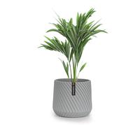 Fox & Fern Heusden flowerpot