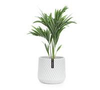 Fox & Fern Heusden flowerpot