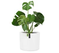 Fox&Fern Large Planter With Water Reservoir - 24 cm High, 25 cm Diameter - Indoor Plant Pot - White Flower Pot