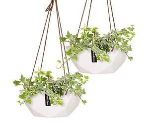 Fox&Fern plant hanger set of 2 size M - each 28cm diameter - hanging flower pots with a unique geometric pattern - hanging basket for plants indoors and outdoors - colour: matt white