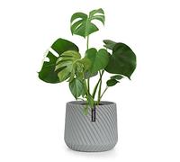 Fox & Fern Plant Pot, Large Plant Pots for Indoor & Outdoor, UV & Frost Resistant Plant Vase with Drainage Plug, Polystone, Large Indoor Pots for Plants & Flowers, House Indoor Plant Pot, Single Pot