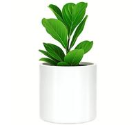 Fox & Fern Plant Pot, Large Plant Pots for Indoor & Outdoor, UV & Frost Resistant Plant Vase with Drainage Plug, Fiberstone, Large Indoor Pots for Plants & Flowers, House Indoor Plant Pot, Single Pot