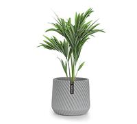Fox & Fern Plant Pot, Large Plant Pots for Indoor & Outdoor, UV & Frost Resistant Plant Vase with Drainage Plug, Polystone, Large Indoor Pots for Plants & Flowers, House Indoor Plant Pot, Single Pot