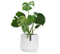 Fox & Fern Plant Pot, Large Plant Pots for Indoor & Outdoor, UV & Frost Resistant Plant Vase with Drainage Plug, Polystone, Large Indoor Pots for Plants & Flowers, House Indoor Plant Pot, Single Pot