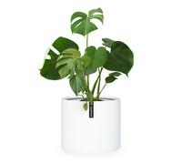 Fox & Fern Planter