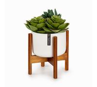 Fox & Fern Thorn flower pot with stand
