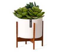 Fox & Fern Single Wooden Plant Stand with Indoor Plant Pot, Indoor Stands & Pots for Homes/Offices, Sturdy Eco Stand, Easy To Assemble