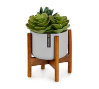 Fox & Fern Thorn flower pot with stand