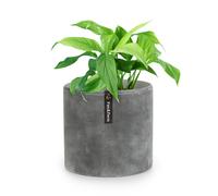 Fox & Fern Venlo flowerpot