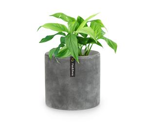 Fox & Fern Venlo flowerpot