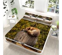 Fox Fitted Sheet King Size Bed Wildlife 3D Fitted Sheets Deep Pocket 12 inch 30 cm Bottom Sheet Ultra Soft Microfibre Bedding Set with 2 Pillowcases a.6058