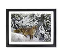Fox In The Snow Vol.10 By Bruno Liljefors Classic Painting Framed Wall Art Print, Ready to Hang Picture for Living Room Bedroom Home Office Décor, Black A3 (46 x 34 cm)