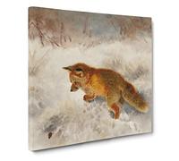Fox In The Snow Vol.2 by Bruno Liljefors Canvas Print | Gallery Wrapped 30mm Frame Wall Art | 14x14 inches | Ready to Hang | Classic Animals Picture | Living Room Bedroom Lounge Office