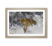 Fox in The Snow Vol.3 by Bruno Liljefors Framed Print | A2 Oak Framed Wall Art | Ready to Hang | Modern Animal Picture | Living Room Bedroom Lounge Office