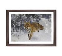 Fox in The Snow Vol.3 by Bruno Liljefors Framed Print | A2 Walnut Framed Wall Art | Ready to Hang | Modern Animal Picture | Living Room Bedroom Lounge Office