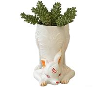 Fox Motif Indoor Plant Holder for Succulents and Tiny Flowers, Enameled Plastic Construction for Home Decor Use