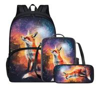 Fox Painting Galaxy Bookbag Set Boys Girls School Backpack with Lunch Box Bag and Pencil Case