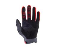 Fox Racing - Dirtpaw Gloves, CE,GRY/Red,XL