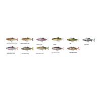 Fox Replicant Jointed Lure - 20cm 120g Golden Perch