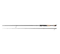 Fox Rage TR DS Master 245cm 8' 6-25g / Fishing Rod