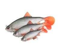 Fox Rage Ultra-Realistic Roach Replicant - Predator Fishing Lures -Free Delivery