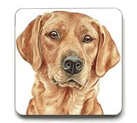 Fox Red Labrador Dog Breed Coaster (CST-263)
