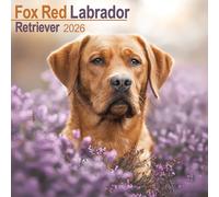 Fox Red Labrador Retriever Calendar 2026 Square Dog Breed Wall Calendar - 16 Month