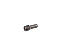 FOX Shox Set Screw for Lever M3 x .5mm x .300 TLG - Qty of 10