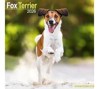 Fox Terrier 2026 Calendar | Square Wall Calendar | Dog Breed Gift | Plastic Free Packaging | by Avonside Publishing