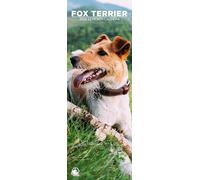 Fox Terrier 2026 Wall Calendar, 12-Month Slim Format, Made in England