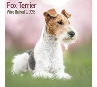 Fox Terrier (Wire Haired) 2026 Calendar | Square Wall Calendar | Dog Breed Gift | Plastic Free Packaging | by Avonside Publishing