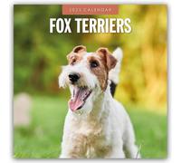 Fox Terriers 2025 Square Wall Calendar