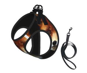 FOX2 print Dog Harness, 2X Buckle,Dog Vest,No Pulling Front Leash Clip,for Small Medium Dogs