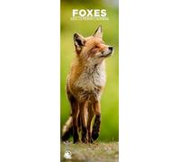 Foxes 2026 Wall Calendar, 12-Month Slim Format, Made in England