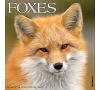Willow Creek Press, Foxes 2027 Wall Calendar