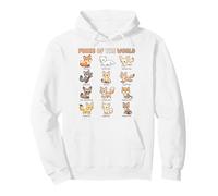 Foxes of the World Names Chart for Kids Cute Fox Species Pullover Hoodie