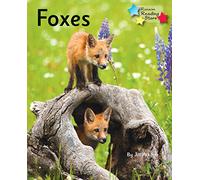 Foxes: Phonics Phase 5 (Reading Stars Phonics)