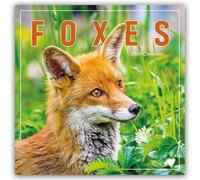 Foxes Square Wall Calendar 2026 by Unknown Author | 2025