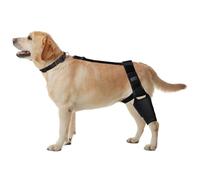 Foxtell Dog Knee Brace with 10 Metal Stabilizers and Connection Belt for Torn acl Hind Leg Cruciate Ligament Injury Joint Pain Reduces Inflammation Velcro Adjustable Size(S-XL (X-Large)