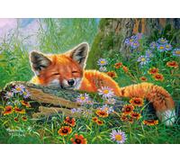 Foxy Dreams