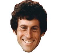 FoxyPrinting Starsky Mint Celebrity Cardboard Party Face Mask Fancy Dress
