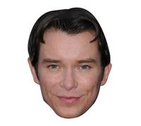 FoxyPrinting Stephen Gately Celebrity Cardboard Party Face Mask Fancy Dress