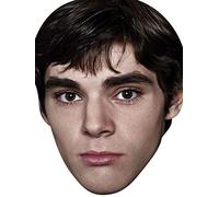 FoxyPrinting Walter Junior Breaking Bad Tv Stars 2018 Celebrity Cardboard Party Face Mask Fancy Dress